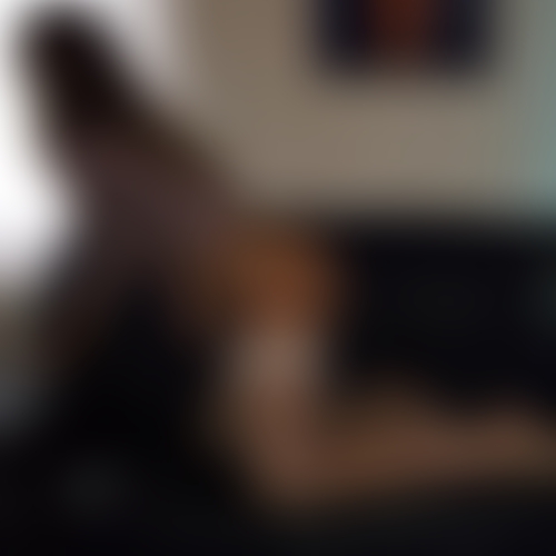 Fixie Escort undefined